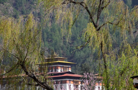 Image of Bhutan - Eleven Days in 2011